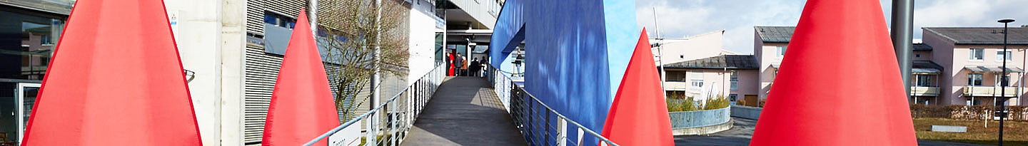 Rückblick ProFlex Rückblick ProFlex